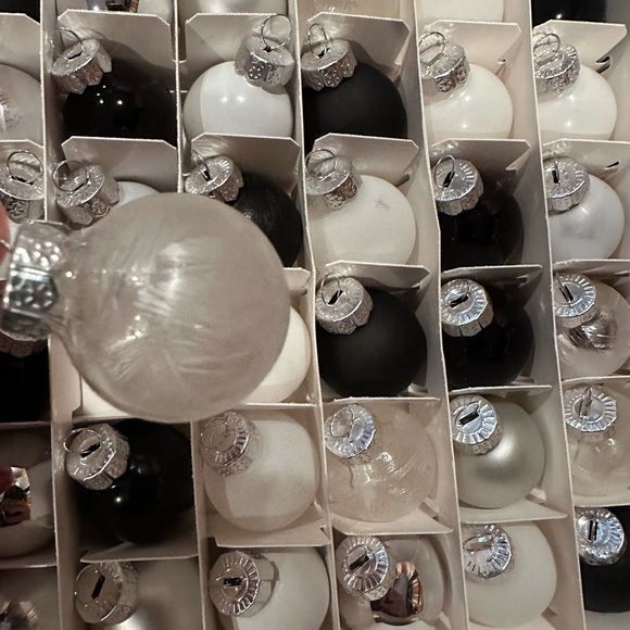 Elegant Black and White Set of 49 Mini Round Glass Ornaments Target Brand - Picture 11 of 11